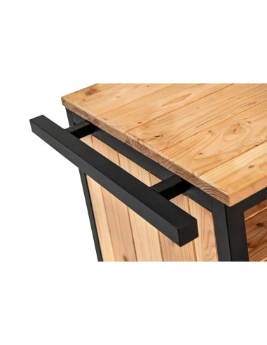 Meuble de cuisine extérieure en acier et douglas