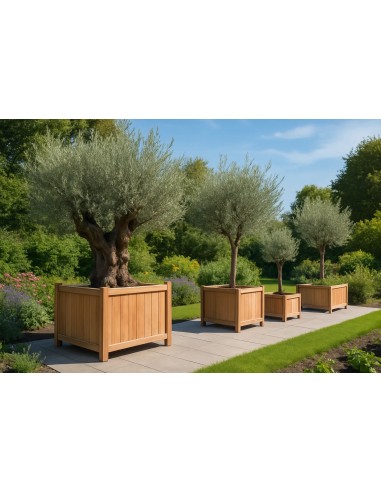 Bac à fleurs en bois exotique