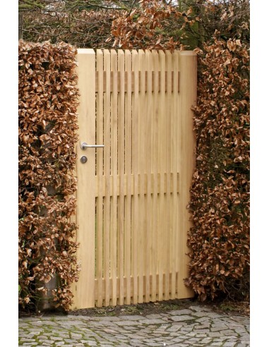 Portail de jardin design