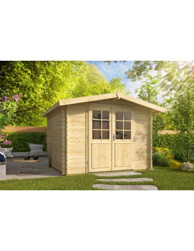 Petit abri de jardin avec double porte vitrée