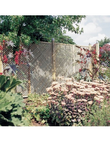 Treillage en bois jardin