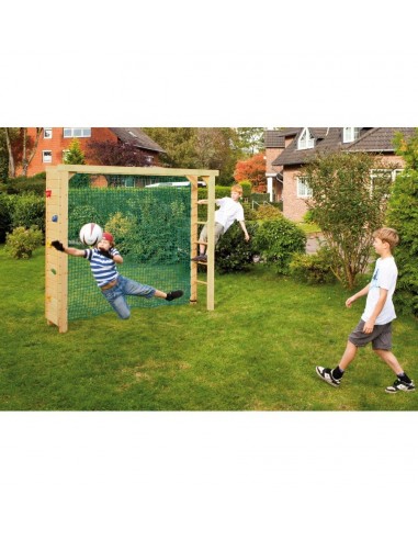 Goal in hout Ronaldo