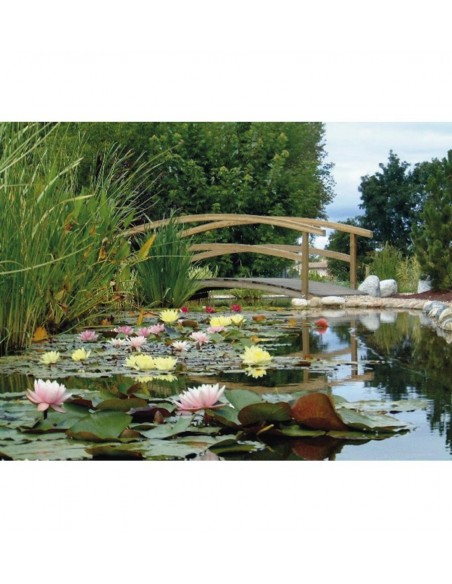 Passerelle de pont en bois courbe