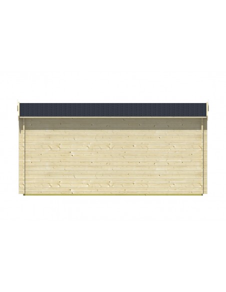 Abri de jardin avec double porte et double fenêtre vitrée