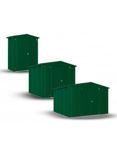 Abri de jardin Biohort