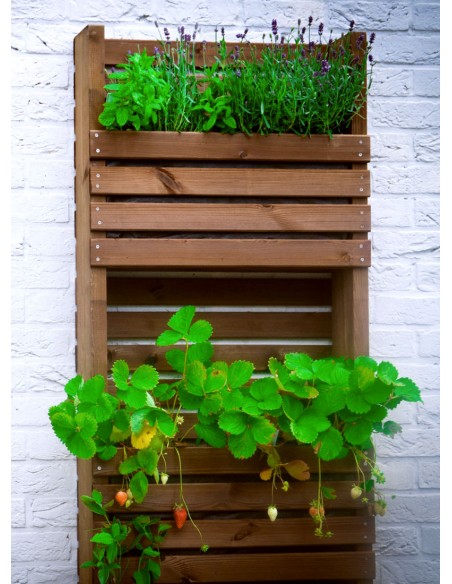 Bac pour herbes aromatiques