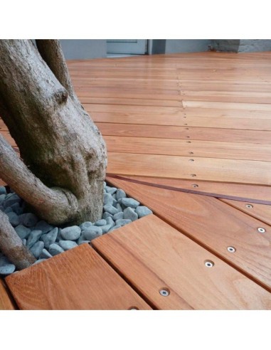 Terrasplanken in Thermowood Dennen