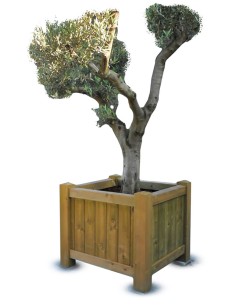 Bac pour Orangerie 2