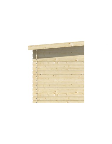 Grote aanbouw voor tuinhuisjes
