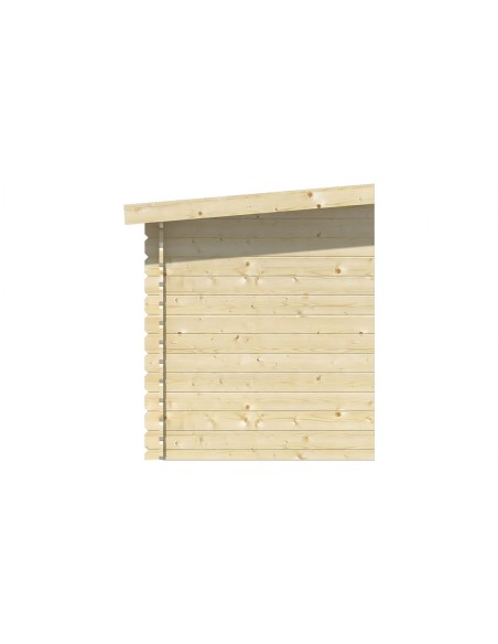 Grote aanbouw voor tuinhuisjes