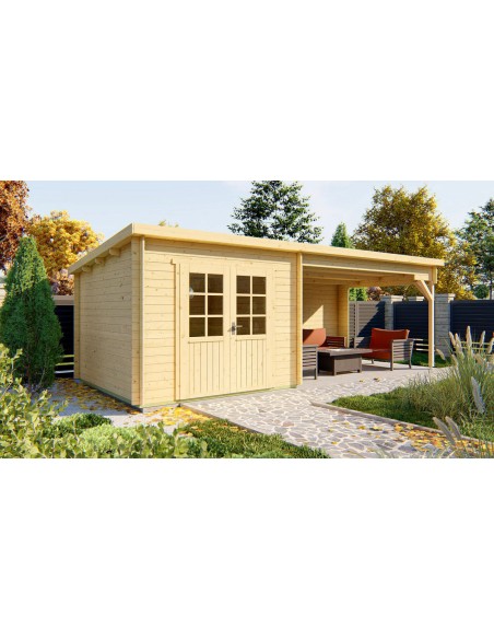 Abri de jardin à toit plat en bois