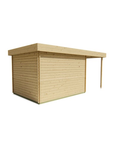 Abri de jardin toit plat avec auvent de côté gauche