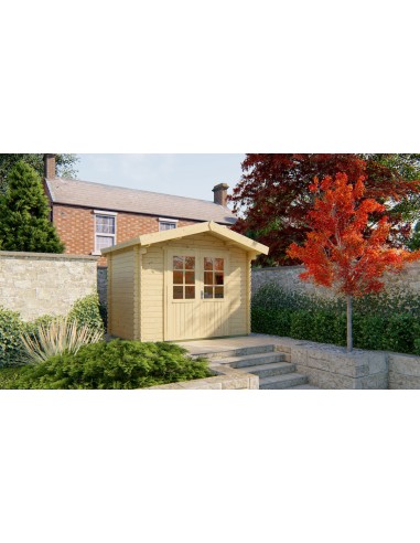 Abri de jardin avec double porte vitrée