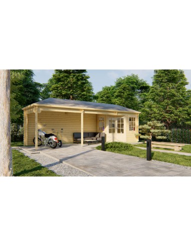 Abri de jardin en bois