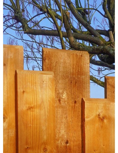 Palissade en planches de bois brut