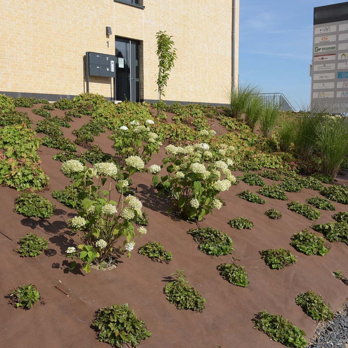Bâche antimauvaises herbes pour terrasse — free download