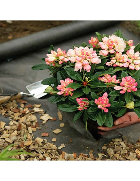 Terrasoverkapping tegen onkruid