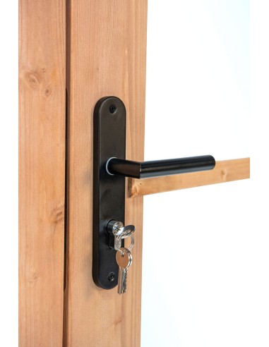 Porte vitrée pour abri de jardin