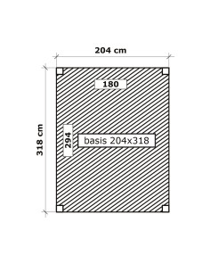Schuur met plat dak 318 x 204 cm 2