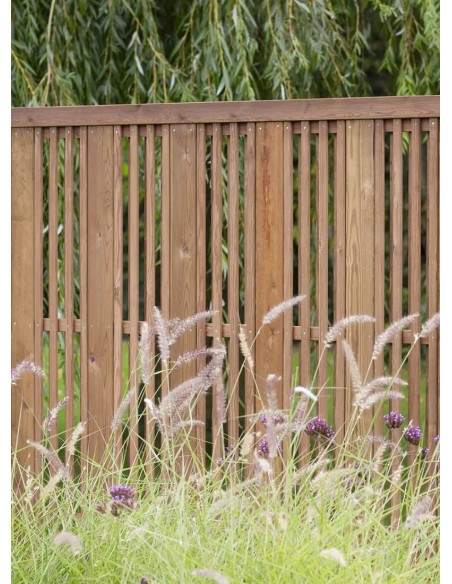 Veelzijdige Noordse Rode Pijnboom Tuinscherm