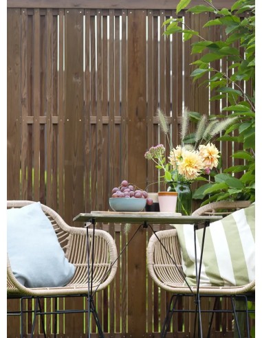 Veelzijdige Noordse Rode Pijnboom Tuinscherm