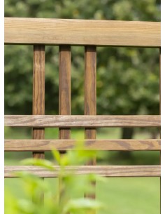 Treillis "Trio" pour Plantes Grimpantes 2