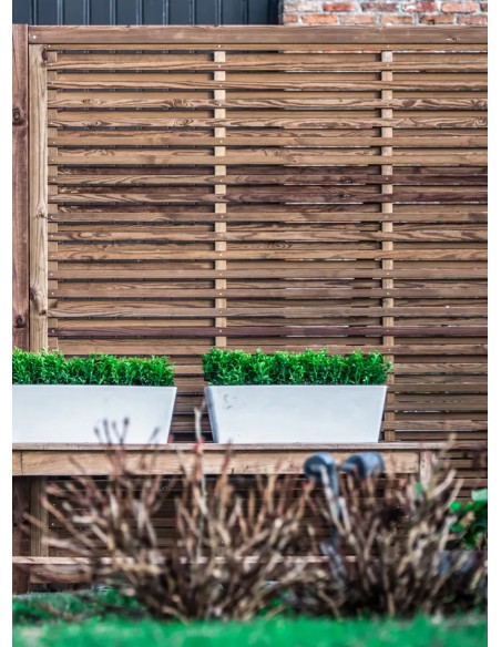 Claustra Isaura Twin Pine