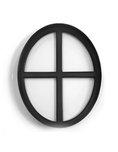 Ossenoog - vast - 40x51cm 2