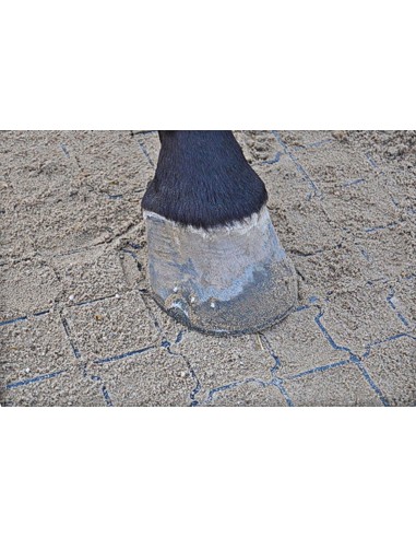 TerraDall - la stabilisation du sol par dalles drainantes