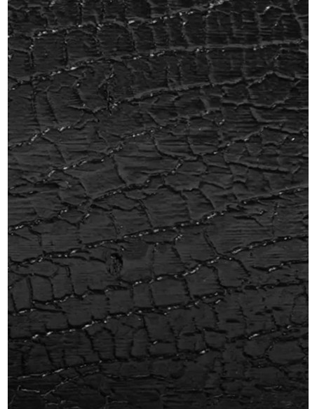 Gebrand houten gevelbekleding