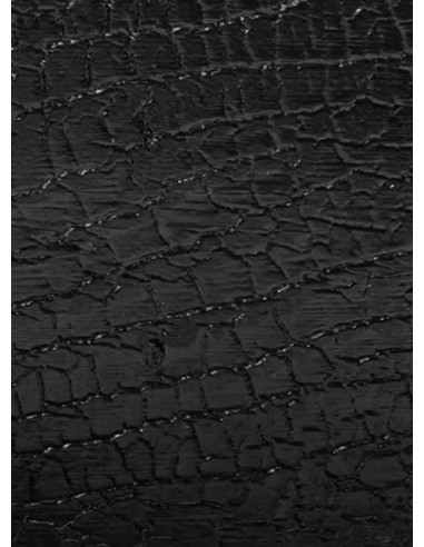 Planche de bardage type bois brûlé