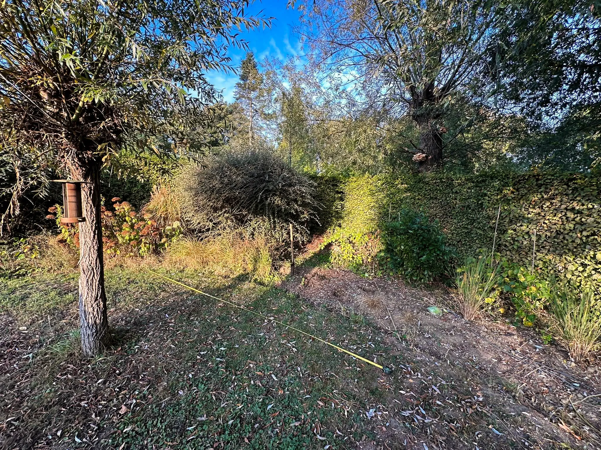 terrain vierge avant placement de l'abri de jardin