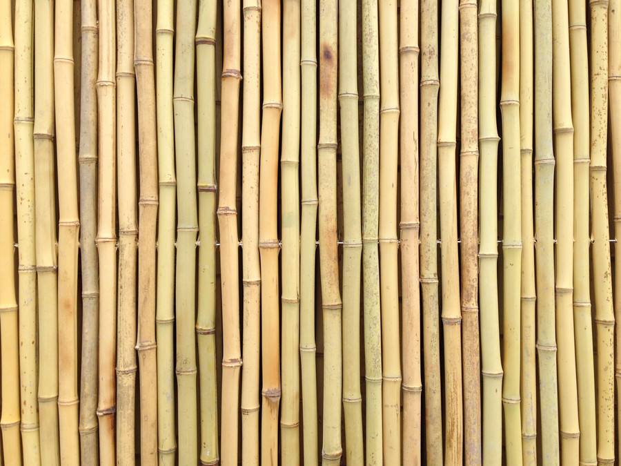 Bamboestammen natuurlijk