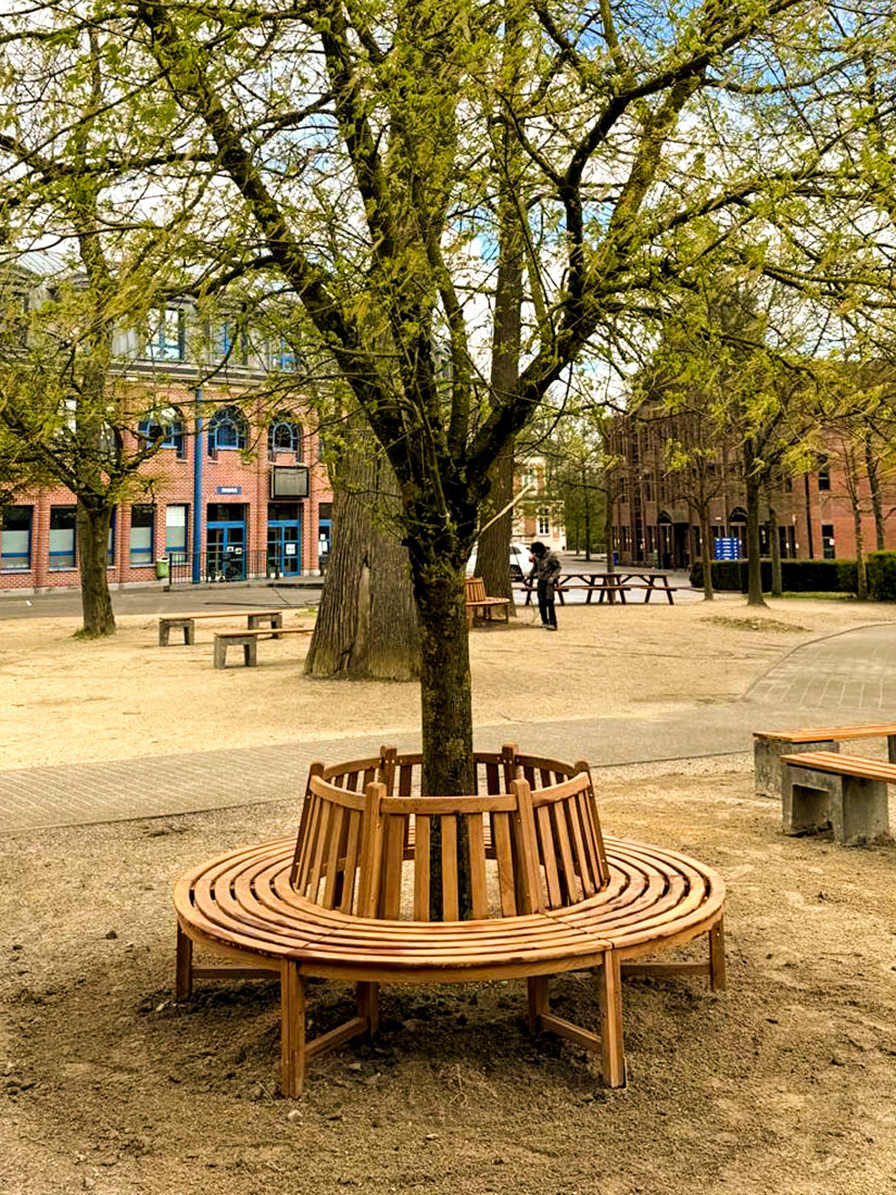 Bankje rond een boom op het schoolplein