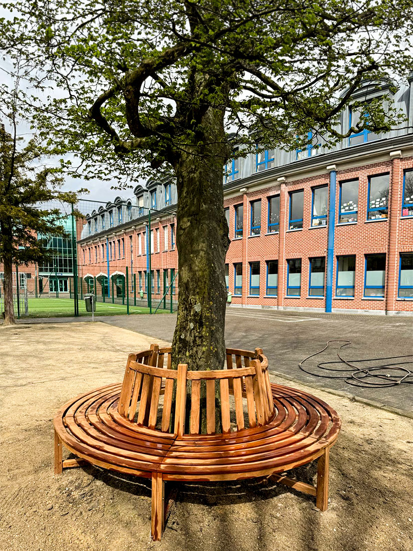 Exotisch houten bank rond een boom