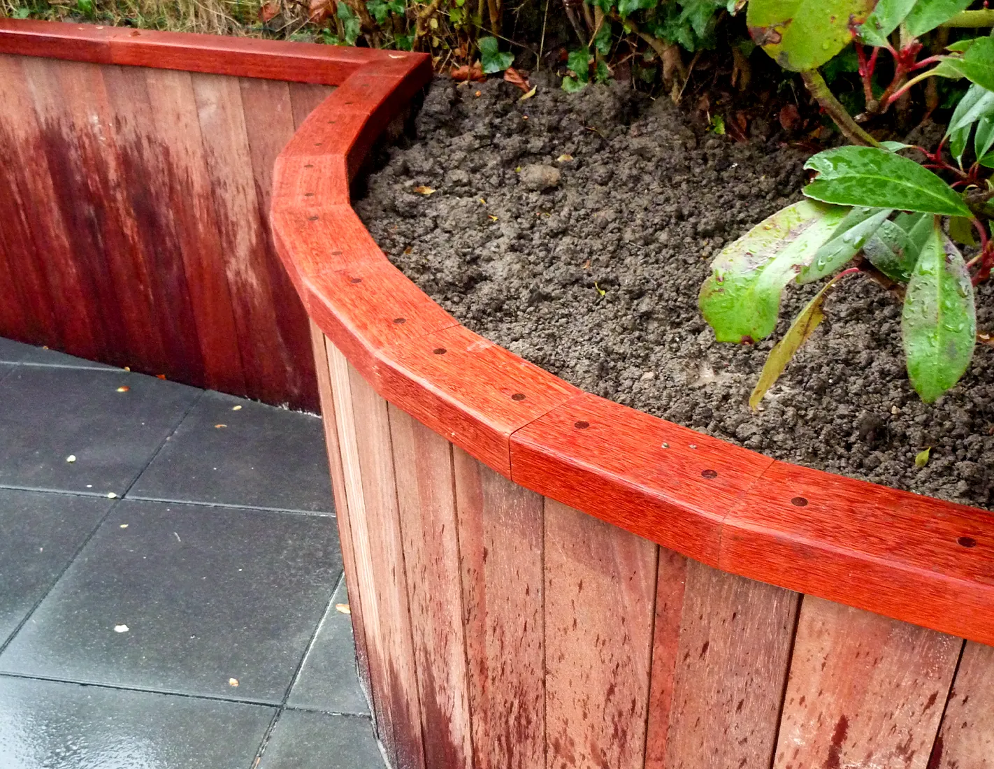 Bordure de massif courbe en bois exotique avec couvre-mur, le long d'une terrasse dall&eacute;e