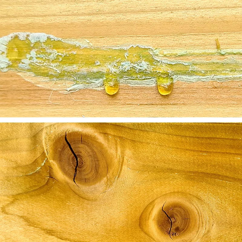 Gros plan sur des d&eacute;fauts naturels du bois