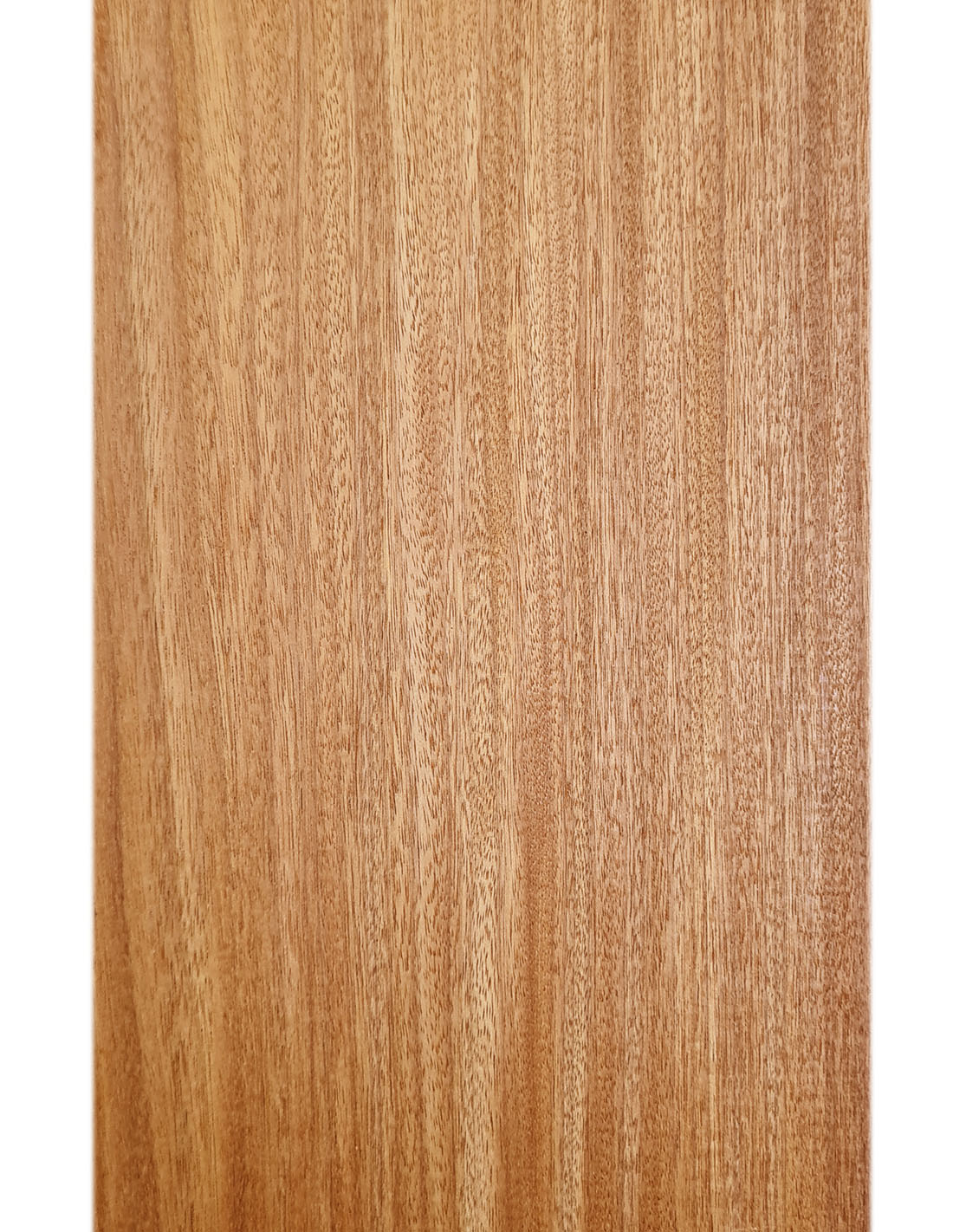 Texture tr&egrave;s fine et aspect visuel homog&egrave;ne d'une lame en bois exotique Afromosia.